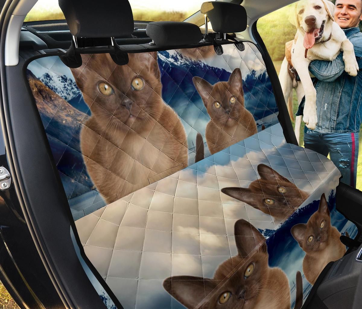 Ferocious Burmese Cat Design Car Back Seat Cover Dog Car Seat Covers - f5b66c4a510b Ferocious Burmese Cat Design Car Back Seat Cover Dog Car Seat Covers - f5b66c4a510b