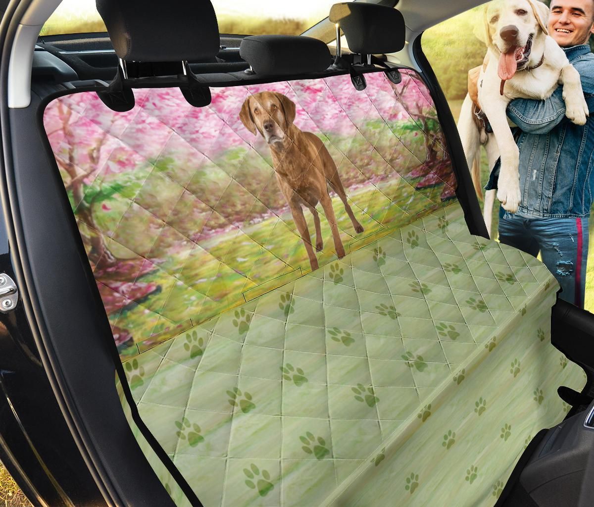 Spring Chesapeake Bay Retriever Design Car Back Seat Cover Dog Car Seat Covers - 52126f32d4e8 Spring Chesapeake Bay Retriever Design Car Back Seat Cover Dog Car Seat Covers - 52126f32d4e8